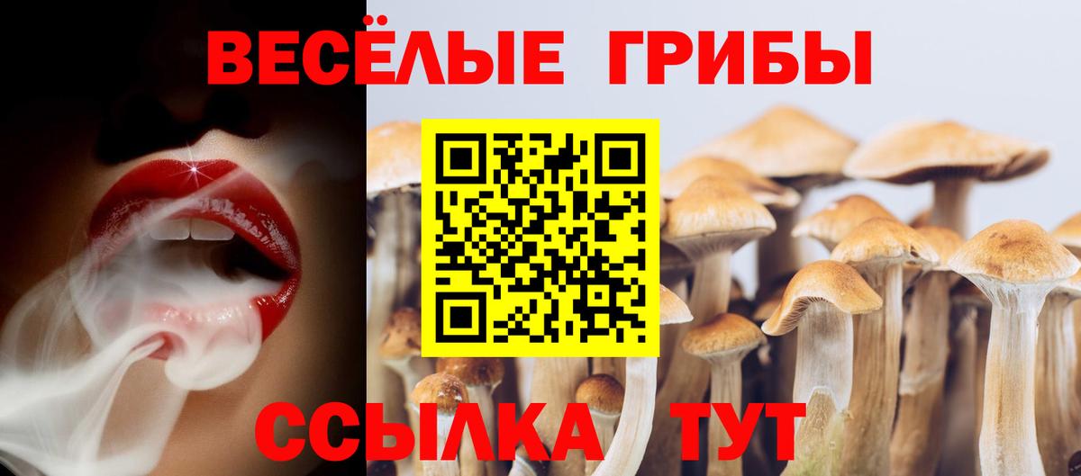 Псилоцибиновые грибы мицелий Красноармейск