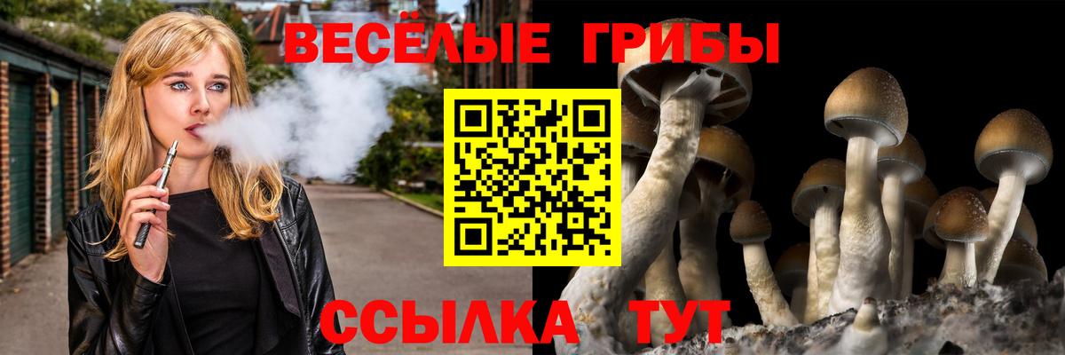 Красноармейск  Галлюциногенные грибы Magic Shrooms  Вход с VPN 